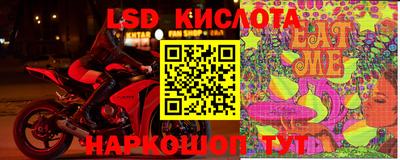 PSILOCYBIN Нижний Тагил