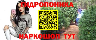 соль ск Новоалександровск